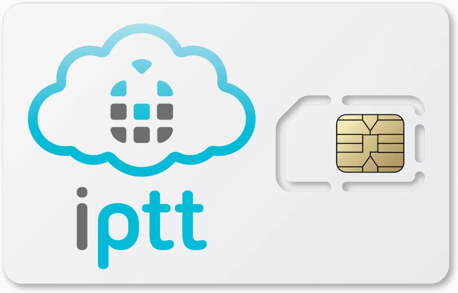iPTT SIM Card