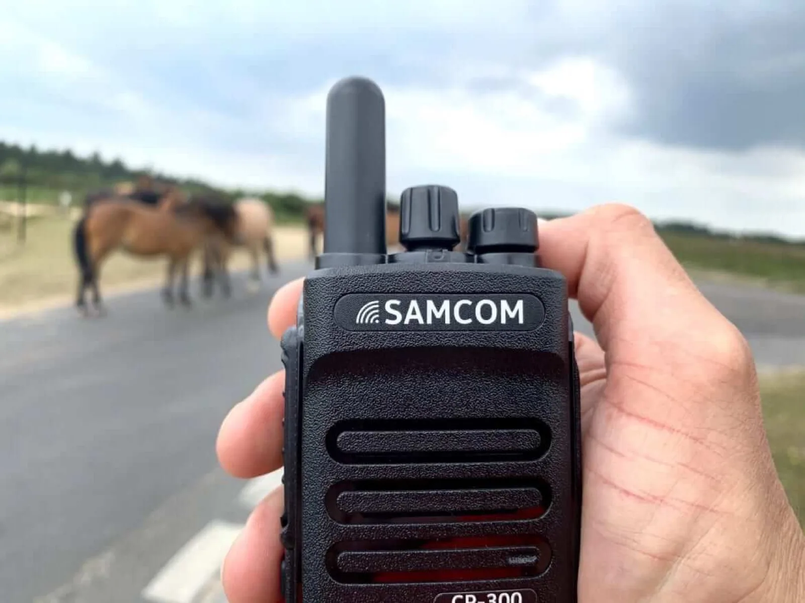 Hand holding a SAMCOM CP-300 long range walkie talkie during an iPTT radio coverage test in the New Forest, with wild ponies on the road behind