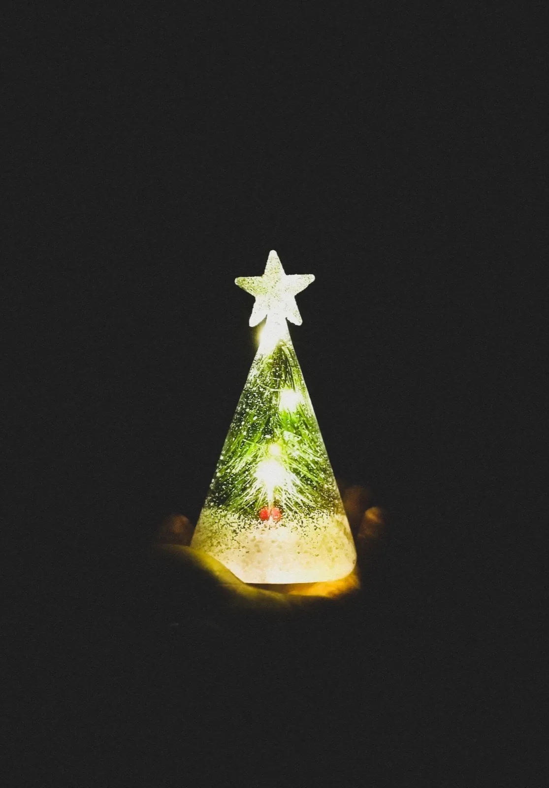 Lighted Christmas Decor